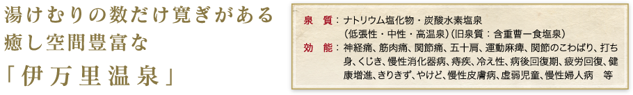 湯けむりの数だけ寛ぎがある癒し空間豊富な｢伊万里温泉｣