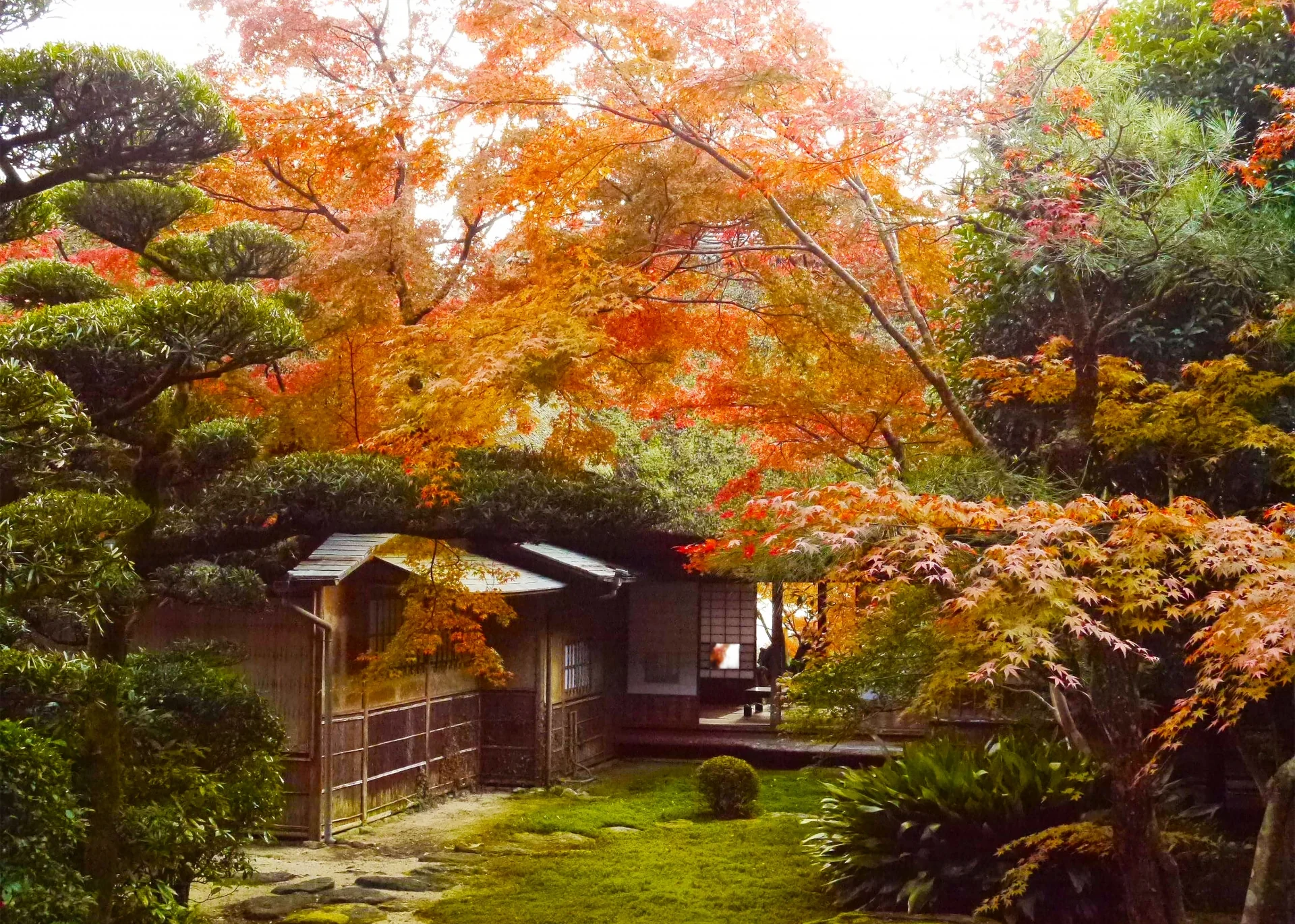 九年庵